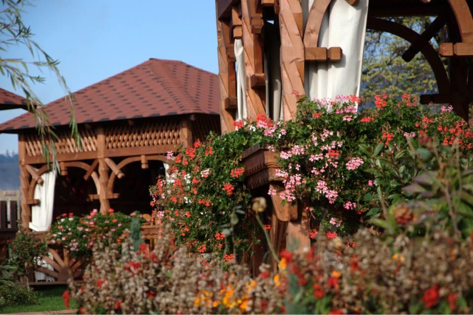 Pensiunea Cabana Soimul Comanesti  Exterior foto